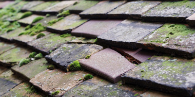 New Wimpole roof repair costs